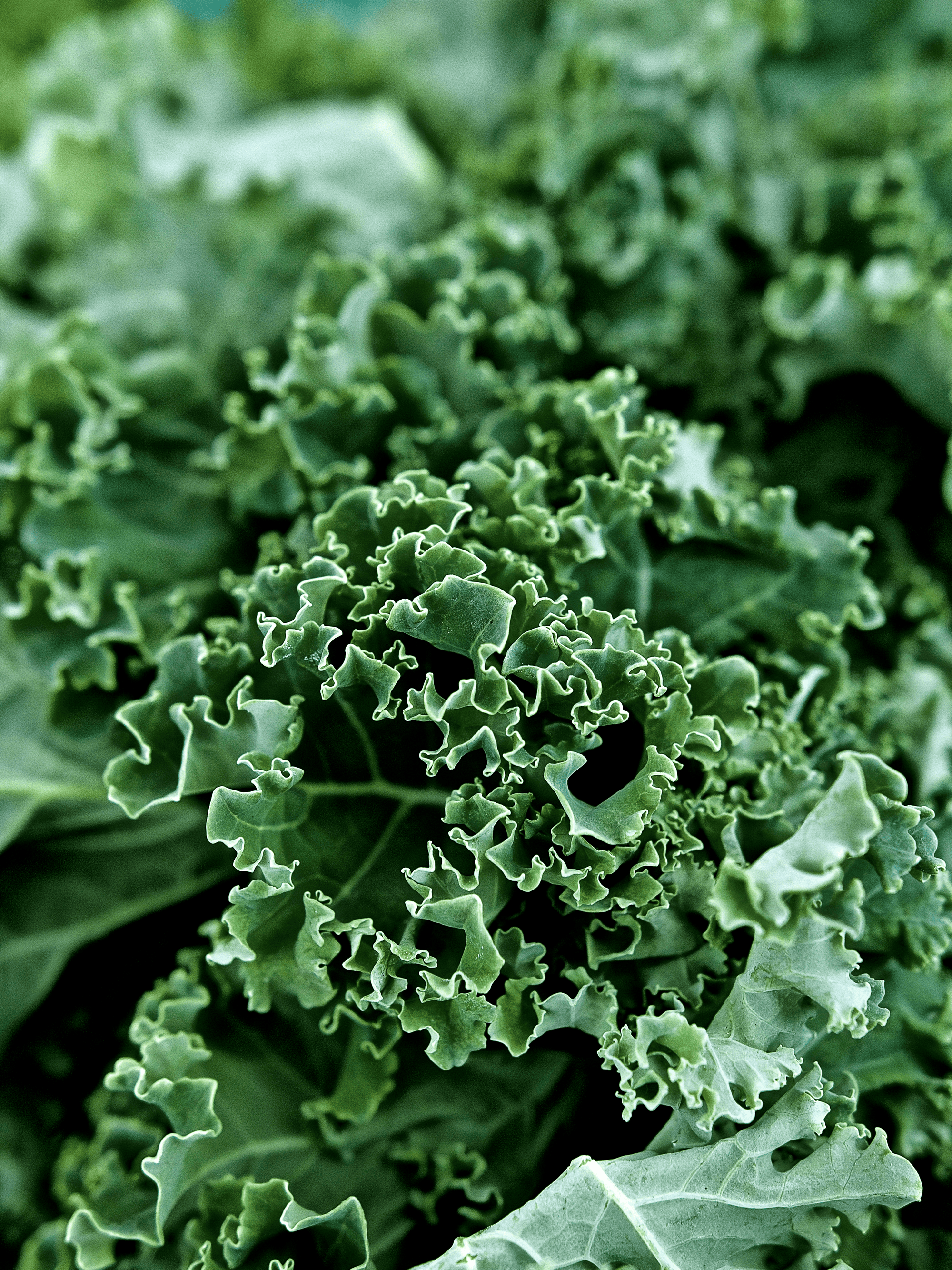 RÜCKBLICK: GOOD FARM BOX KW 1 (4.1. - 5.1.2022.)